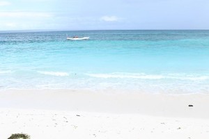 Bukan Maladewa atau Mediterania, Inilah Rote di Indonesia!
