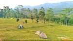 Bukan New Zealand, Ini Banten