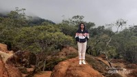 Bagaimana, apakah kalian tertarik mengunjungi cagar alam mutis?