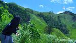Bukan Pulau Padar, Ini Bukit Teletubbies di Maluku