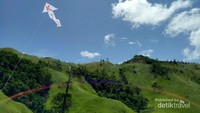 Layangan dengan latar bukit hijau