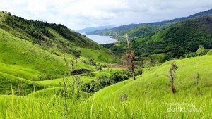 Bukan Pulau Padar, Ini Bukit Teletubbies di Maluku
