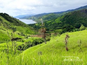 Bukan Pulau Padar, Ini Bukit Teletubbies di Maluku