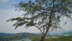 Bukan Raja Ampat, Tapi Ini Matang Keladan