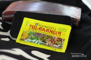 Bukan Sakura, Ini Kebun Shibazakura