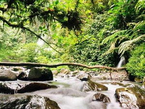 Bukan Sawer Biasa di Sukabumi