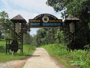 Bukit Bangkirai, Cagar Alam Hijau dari Balikpapan