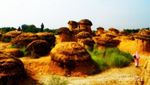 Bukit Jamur, Tempat Selfie Paling Keren di Gresik