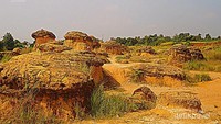 Bukit Jamur di Gresik