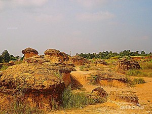 Bukit Jamur, Tempat Selfie Paling Keren di Gresik