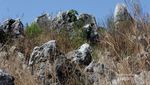 Bukit Karst di Padalarang, Bagai di Dunia Lain