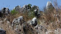 Banyak sekali batu-batu berukuran besar di area ini.