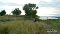 Bukit Majapahit