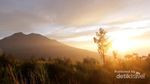 Bukit Mongkrang, Rekomendasi Bagi Pendaki Pemula