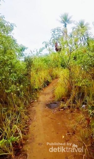 Bukit Pala, Spot Cantik Tersembunyi di Ujung Barat Pulau Bangka
