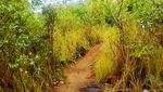 Bukit Pala, Spot Cantik Tersembunyi di Ujung Barat Pulau Bangka