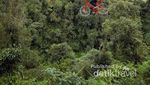 Bukit Paling Instagrammable di Bogor