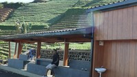 Hijau dan indah