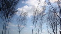 Kawasan Pantai Goa Cemara