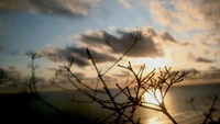 Sunset di Bukit Parang Endog
