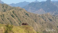 Menikmati Keindahan Sabana Bukit Passapa