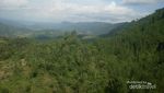 Bukit Pentulu Indah, Kalibiru Ala Kebumen