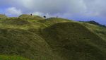 Bukit Teletubbies Juga Ada di Gunung Prau