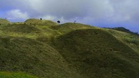 Bukit Teletubbies