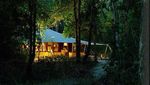 Bulan Madu Romantis di Tengah Hutan Pulau Moyo