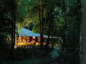 Bulan Madu Romantis di Tengah Hutan Pulau Moyo
