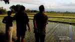 Bulukumba yang Tenang dan Indah