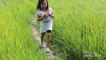 Bulukumba yang Tenang dan Indah