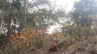 Masih di sekitar camping ground