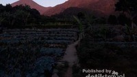 Suasana pagi