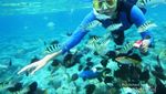Bunaken, Keindahan Bawah Laut yang Tiada Duanya