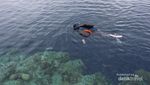 Bunaken, Masihkah Kamu Secantik Dulu?