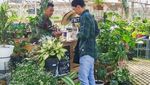 Bunga-Bunga Cantik di Grace Rose Farm Lembang