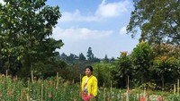 Salah satu kebun bunga unik yang ada di kebuh ini.