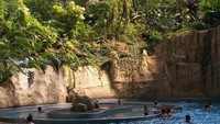 Kolam renang dalam spot Bali Lagoon ini (extravaganzi.com)