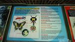Butterfly Park, Alternatif Wisata Dekat Candi Borobudur