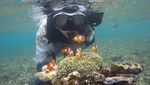 Butuh Vitamin Sea? Nih Cantiknya Pahawang