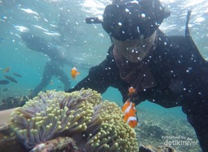 Butuh Vitamin Sea? Nih Cantiknya Pahawang