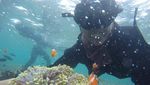Butuh Vitamin Sea? Nih Cantiknya Pahawang