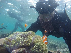 Butuh Vitamin Sea? Nih Cantiknya Pahawang