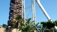 Insano dari dekat (Sumber: beachpark.com.br)