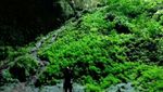 Cahaya Surga dari Gunungkidul