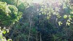 Cahaya Surga dari Gunungkidul