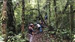 Cakep! Mendaki Rinjani Lewat Jalur Aik Berik