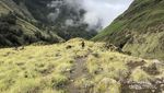 Cakep! Mendaki Rinjani Lewat Jalur Aik Berik