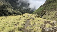 Kondisi jalur pendakian.